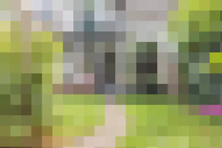 Terwaenen 35 Oss thumbnail 24