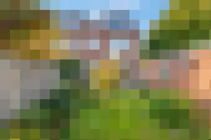 Terwaenen 35 Oss thumbnail 26