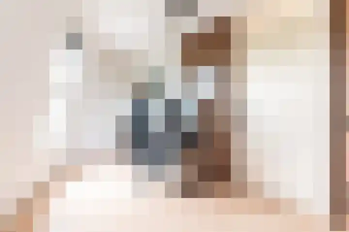 Terwaenen 35 Oss thumbnail 28