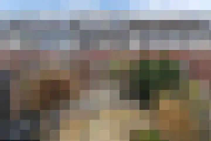 Terwaenen 35 Oss thumbnail 29