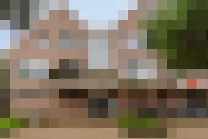 Terwaenen 35 Oss foto 3