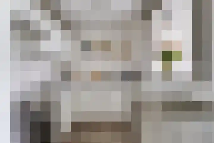 Terwaenen 35 Oss thumbnail 5