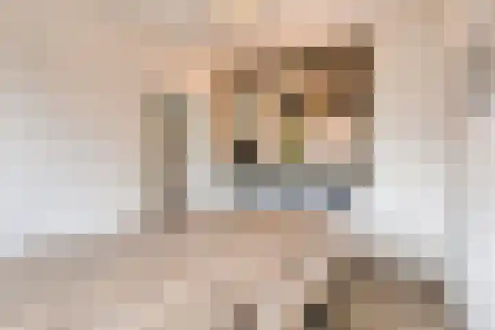 Terwaenen 35 Oss thumbnail 7