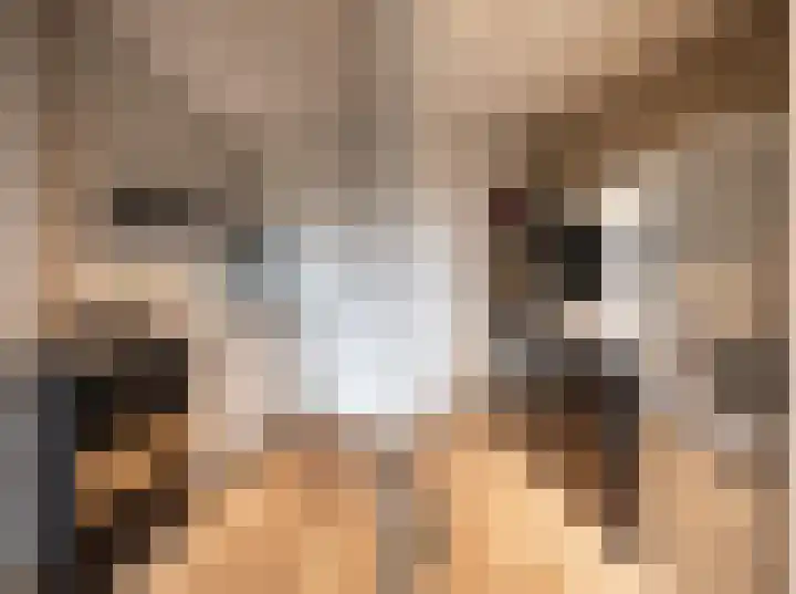 Terwaenen 36 Oss foto 3