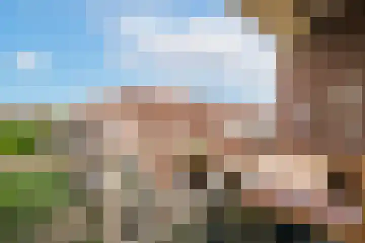Terwaenen 36 Oss thumbnail 4