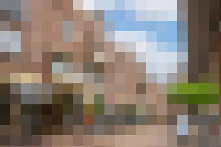 Terwaenen 36 Oss thumbnail 5