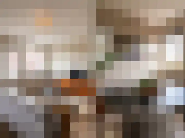 Terwaenen 36 Oss thumbnail 9