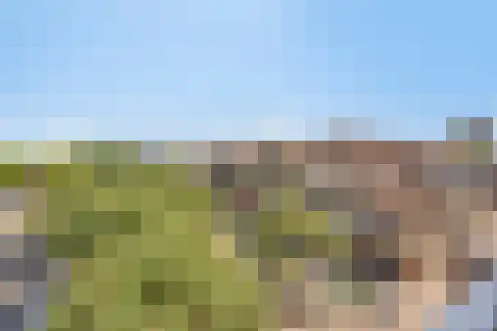 Terwaenen 42 Oss thumbnail 11