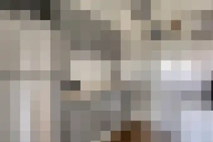 Terwaenen 42 Oss thumbnail 13