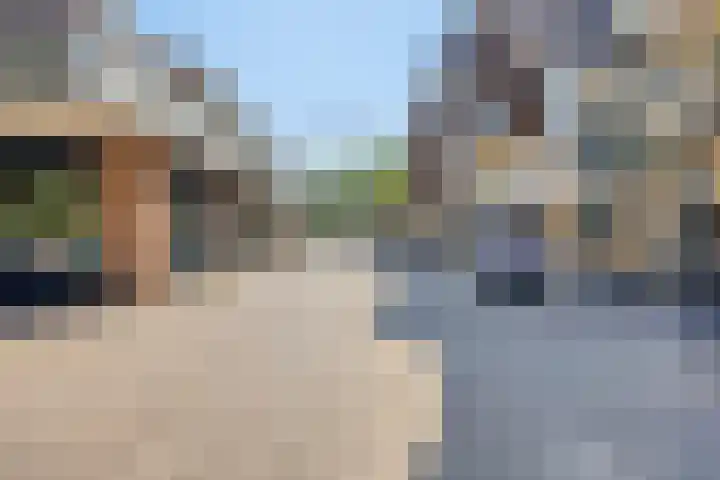 Terwaenen 42 Oss thumbnail 22