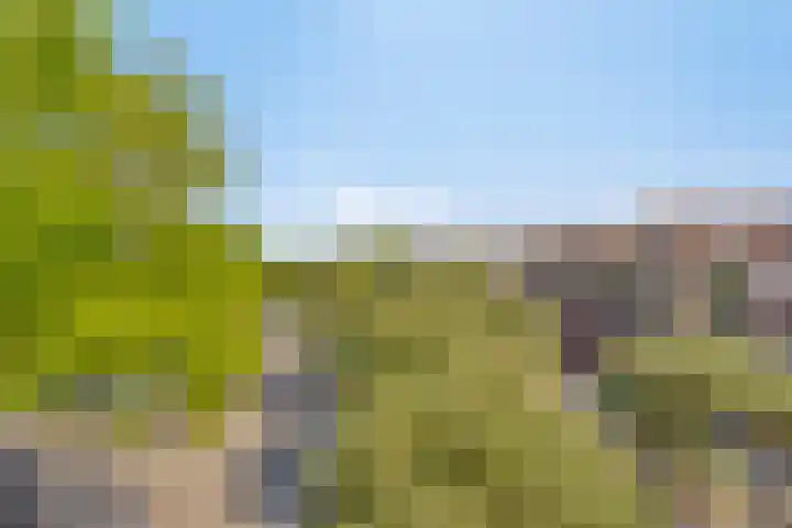 Terwaenen 42 Oss thumbnail 23