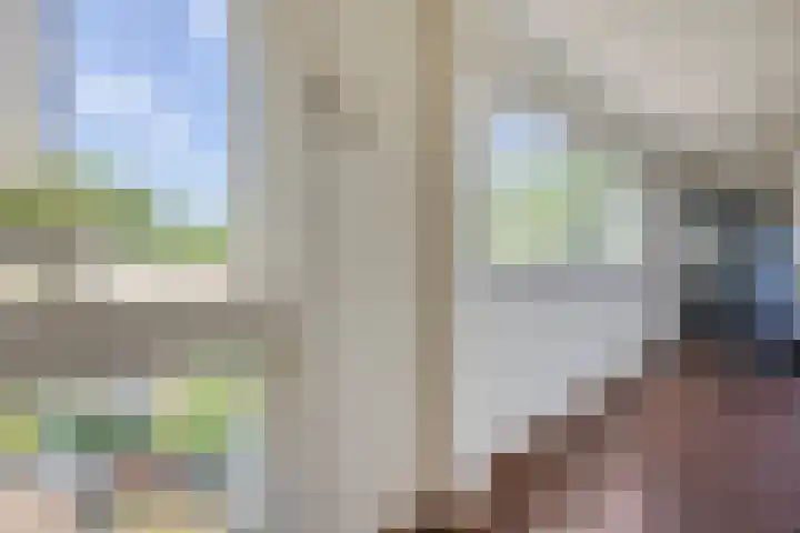 Terwaenen 42 Oss thumbnail 4