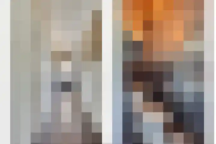 Terwaenen 42 Oss thumbnail 6