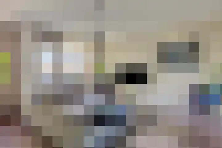 Terwaenen 42 Oss thumbnail 8