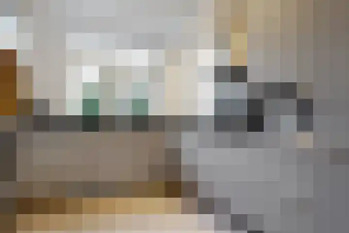 Terwiel 29 Limmen thumbnail 10