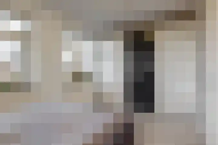 Terwiel 29 Limmen thumbnail 16