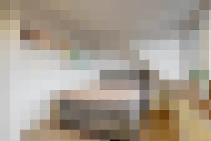 Terwiel 29 Limmen thumbnail 23