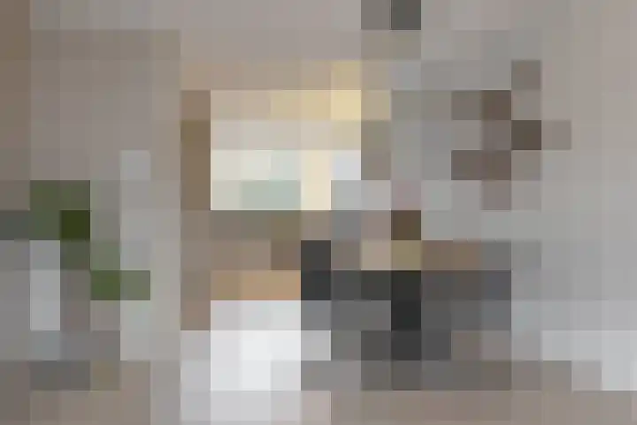 Terwiel 29 Limmen thumbnail 8
