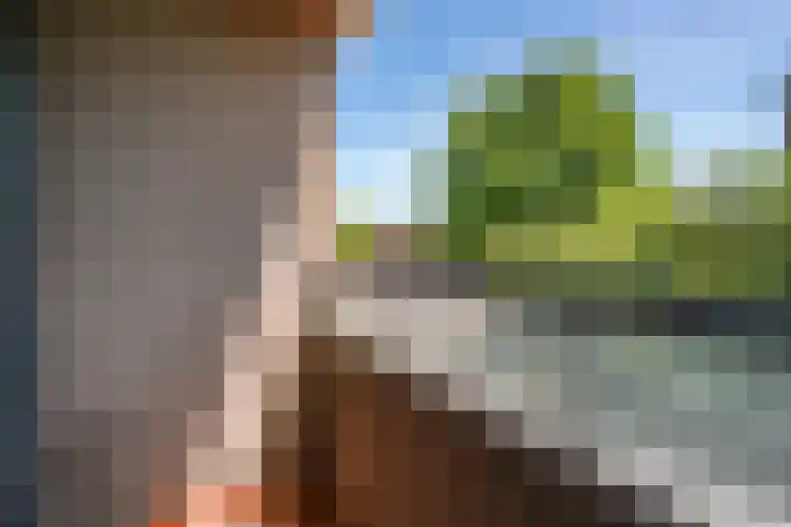 Tesselschadeplein 12 Haarlem thumbnail 18