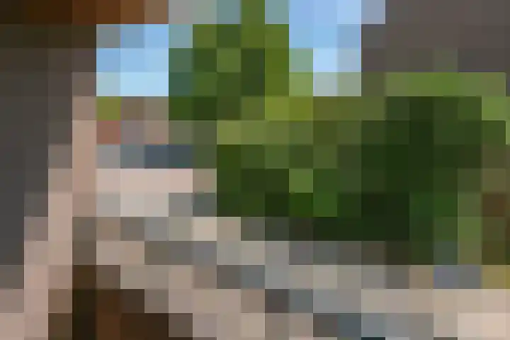 Tesselschadeplein 12 Haarlem thumbnail 19