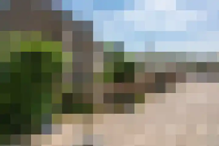Tesselschadeplein 12 Haarlem thumbnail 22