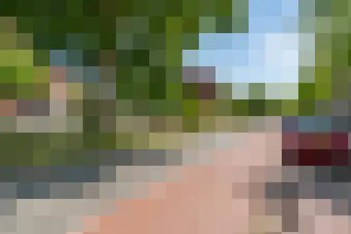 Tesselschadeplein 12 Haarlem thumbnail 27
