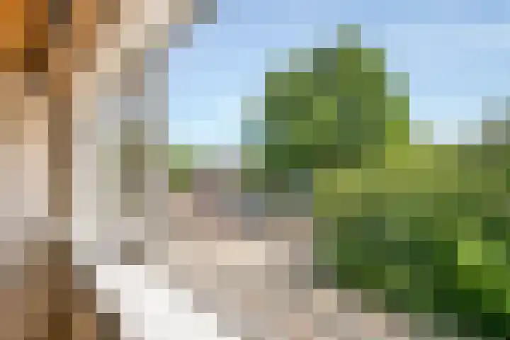 Tesselschadeplein 12 Haarlem thumbnail 5