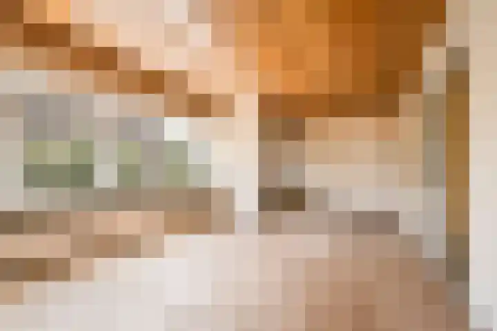 Tesselschadeplein 12 Haarlem thumbnail 8