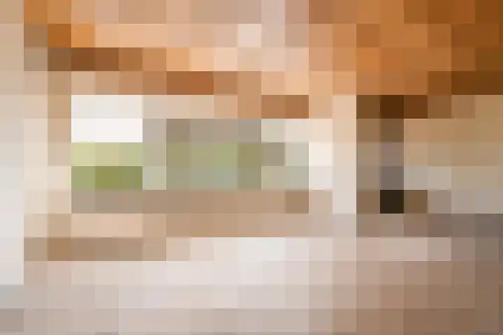 Tesselschadeplein 12 Haarlem thumbnail 9