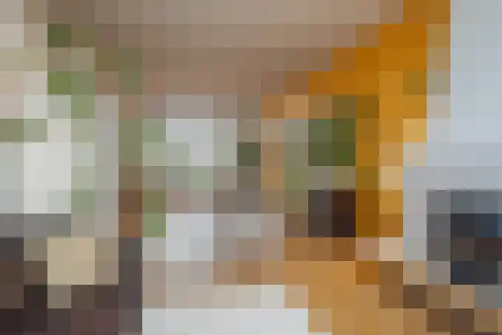 Teteringsedijk 163 Breda thumbnail 9