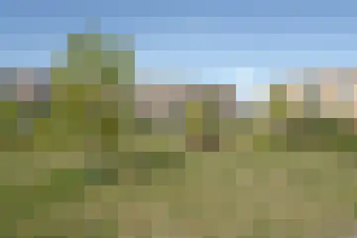 Teteringsedijk 51 Breda thumbnail 37