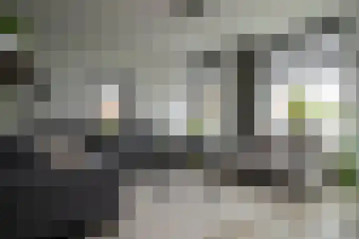 Teugel 6 Hasselt thumbnail 16