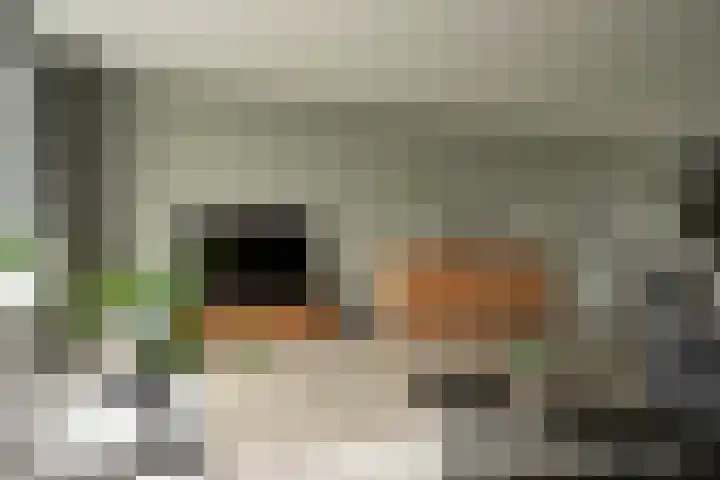 Teugel 6 Hasselt thumbnail 18
