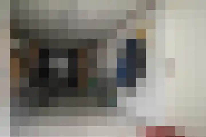 Teugel 6 Hasselt thumbnail 24