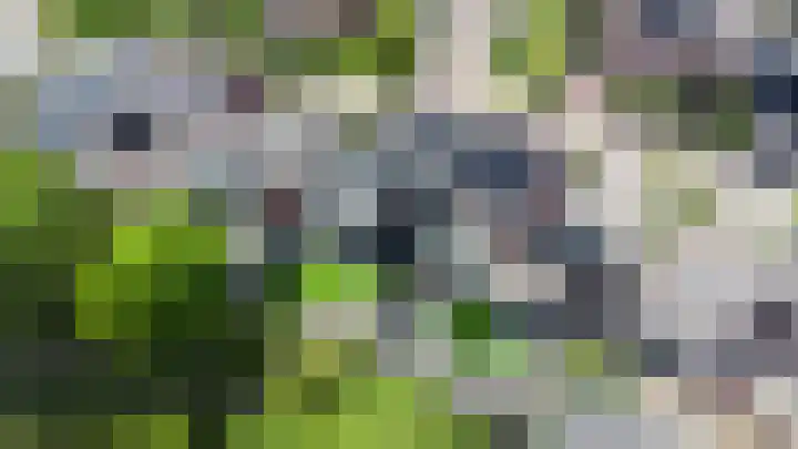 Teugel 6 Hasselt thumbnail 37