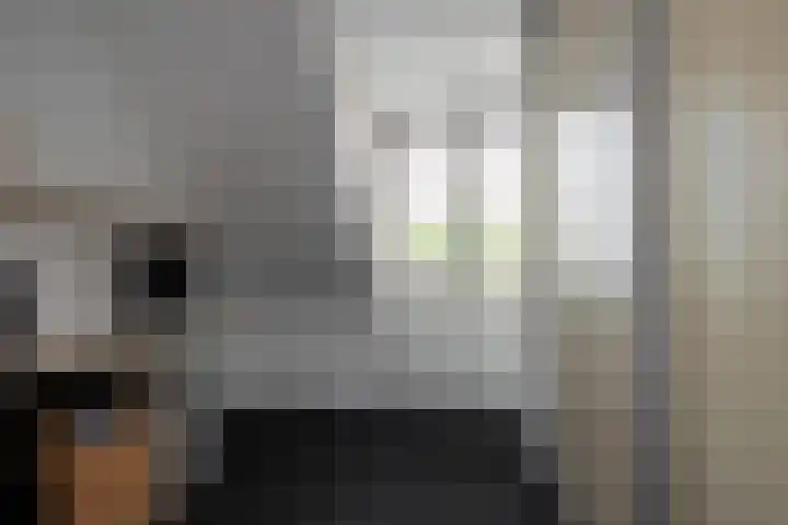 Teugel 6 Hasselt thumbnail 50