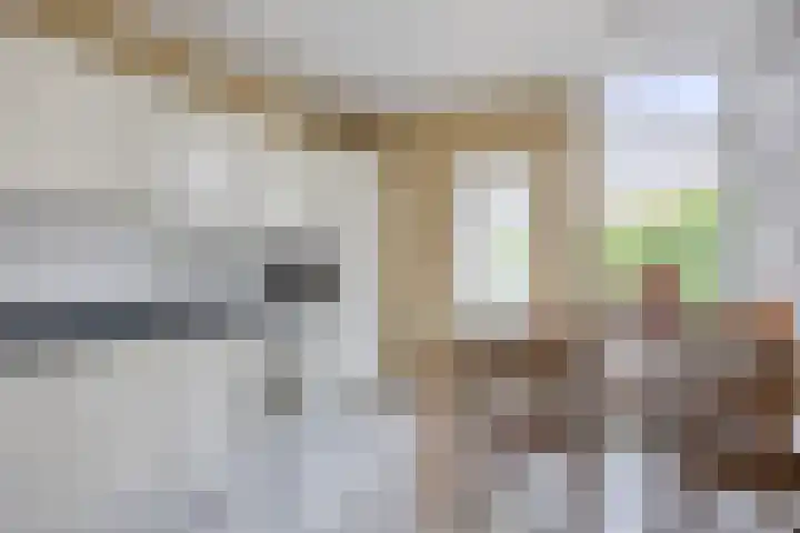 Teugenaarsstraat 21 Oss thumbnail 11