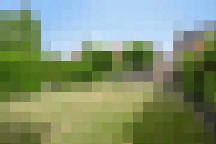 Teugenaarsstraat 21 Oss thumbnail 34