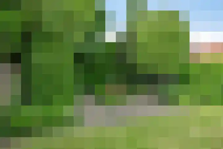 Teugenaarsstraat 21 Oss thumbnail 35