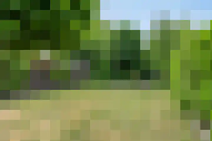 Teugenaarsstraat 21 Oss thumbnail 36