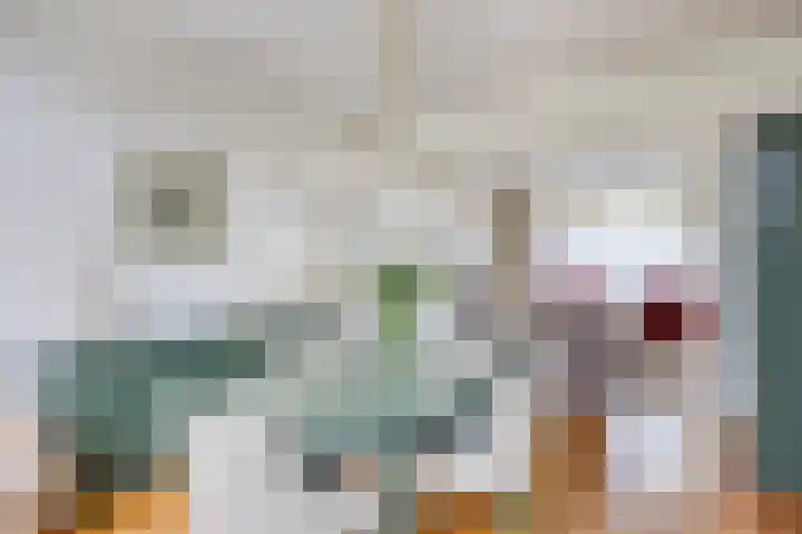 Teugenaarsstraat 21 Oss thumbnail 7