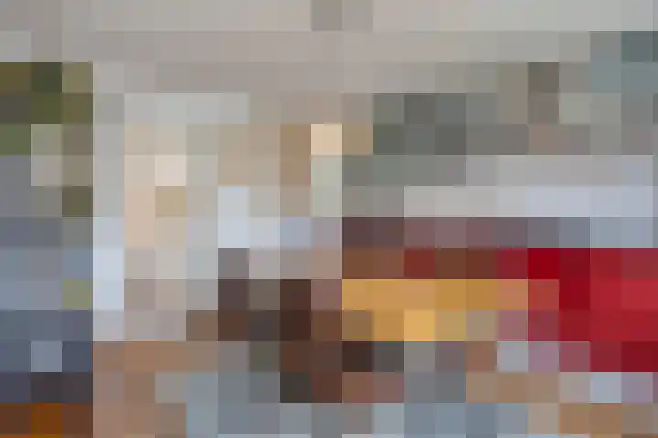 Teugenaarsstraat 56 Oss thumbnail 18