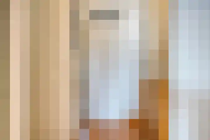 Teugenaarsstraat 56 Oss thumbnail 22