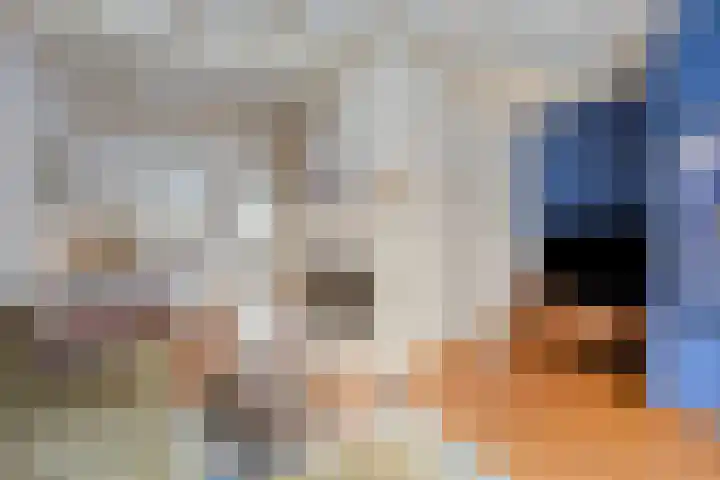Teugenaarsstraat 56 Oss thumbnail 8