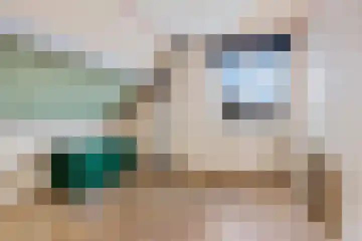 Teugenaarsstraat 89 Oss thumbnail 16