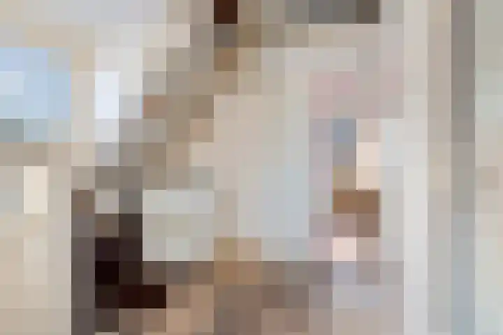 Teugenaarsstraat 89 Oss thumbnail 18