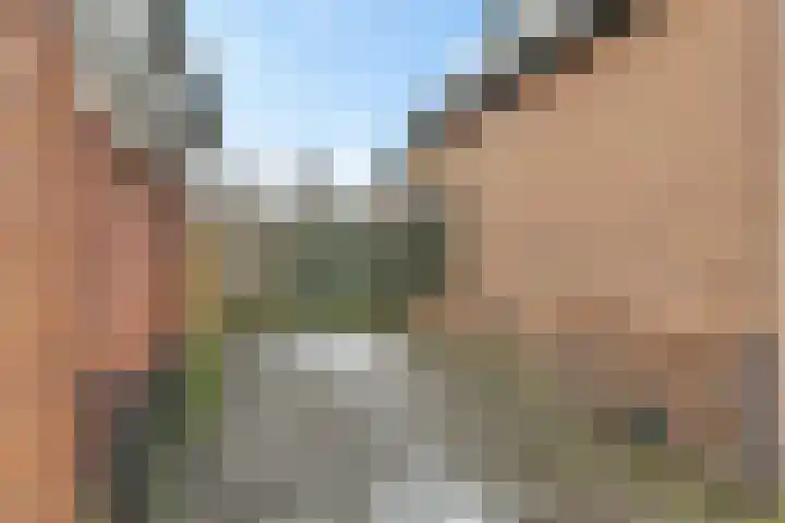 Teugenaarsstraat 89 Oss thumbnail 23