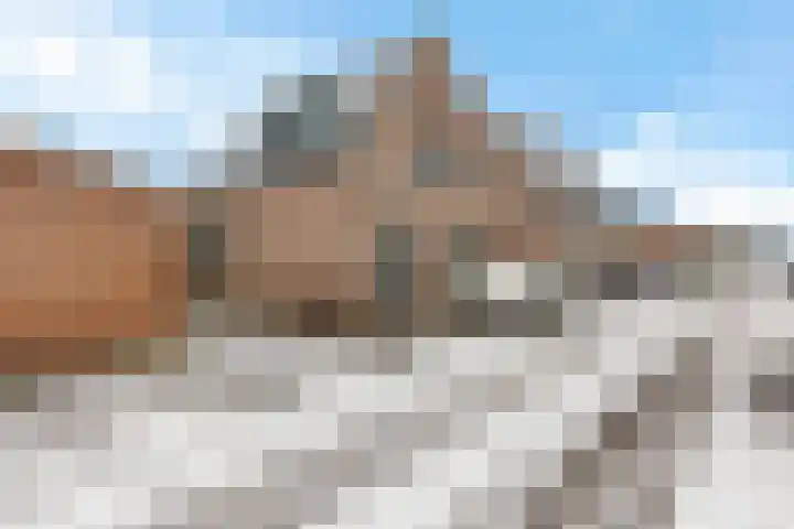 Teugenaarsstraat 89 Oss thumbnail 24