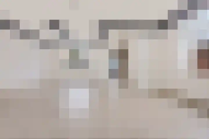Teugenaarsstraat 89 Oss thumbnail 5