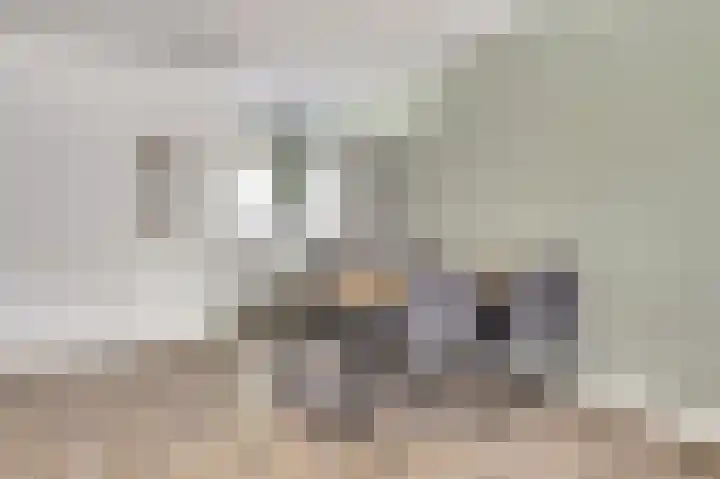 Teulland 28 Eersel thumbnail 11